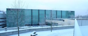 Лукас Кранах Старший  и Антонис Ван Дейк в Художественном музее Эстонии! Германские шедевры живописи из Дрездена в Таллинне, Филе лосося в соусе мисо на обед и цветок на могилу Короля Поэтов - Игоря Северянина