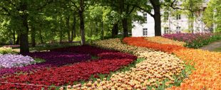Цветочная симфония и сады Эстонии
