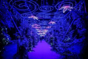Festivāls Pakrojas muižā - Kosmiskā stacija Ziemassvētku noskaņās