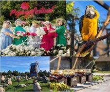 Peoniju festivāls Sāremā, SPA atpūta, kadiķi un zvēriņi